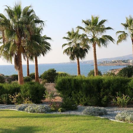 Yulya Villa By Taimoura Paphos Eksteriør bilde