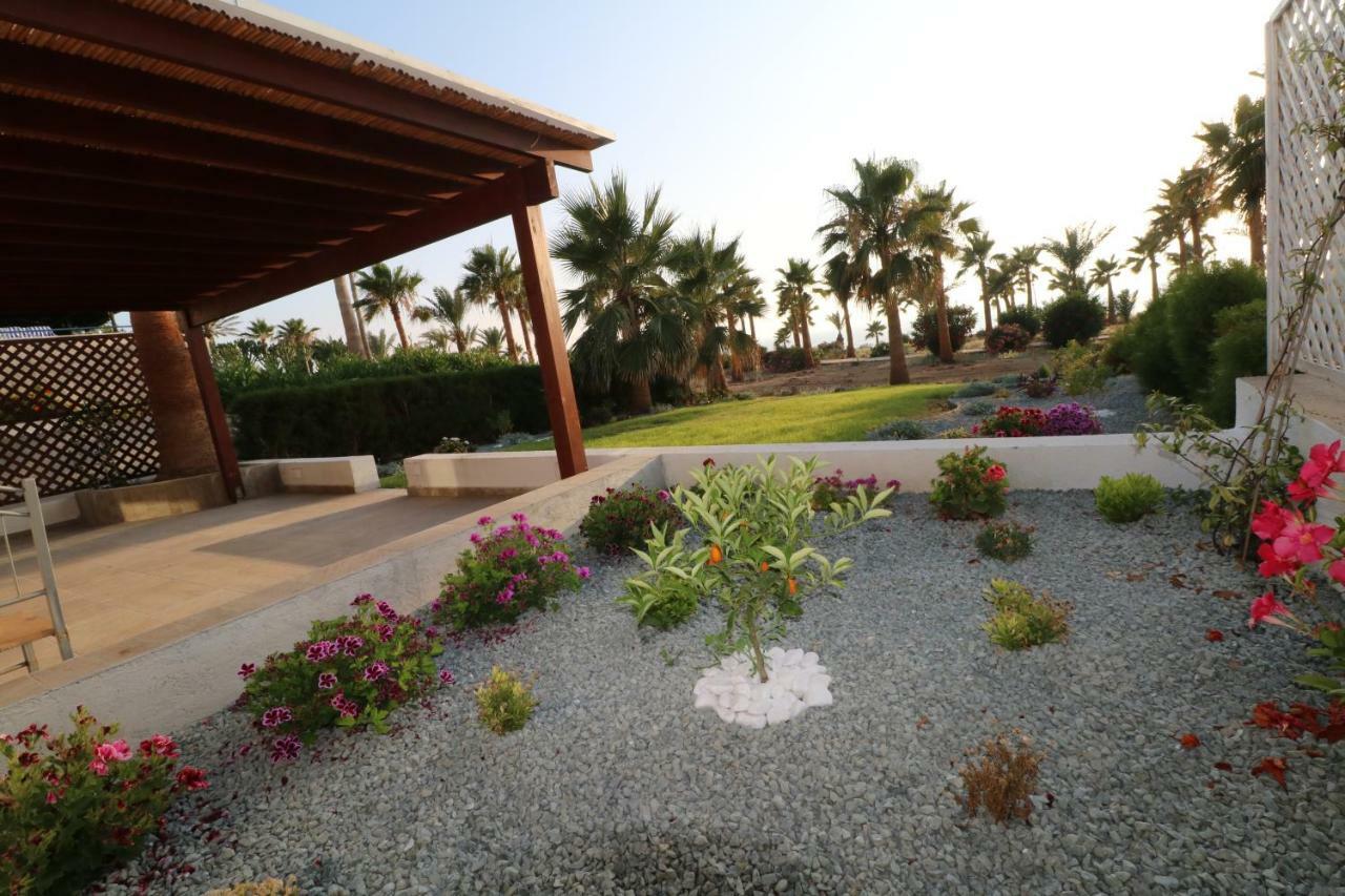 Yulya Villa By Taimoura Paphos Eksteriør bilde