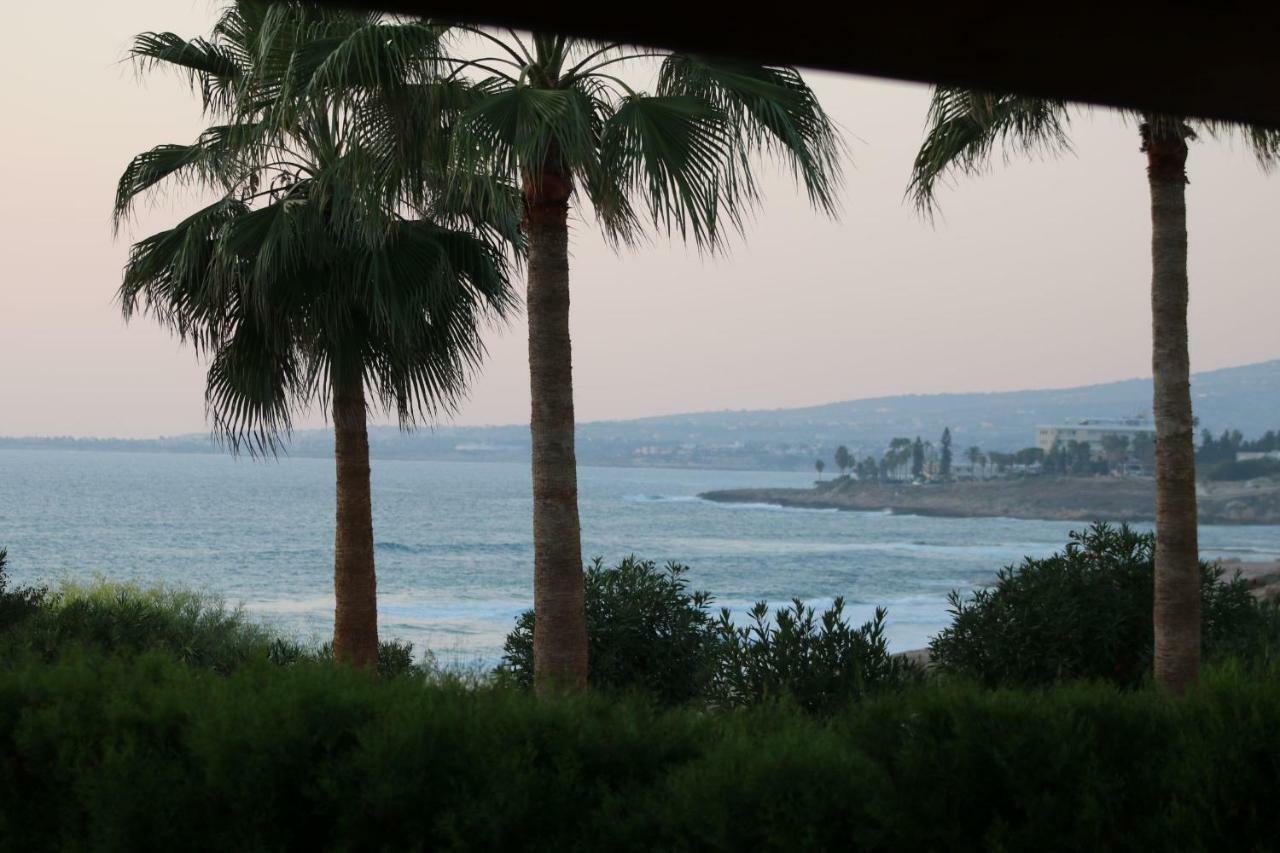 Yulya Villa By Taimoura Paphos Eksteriør bilde