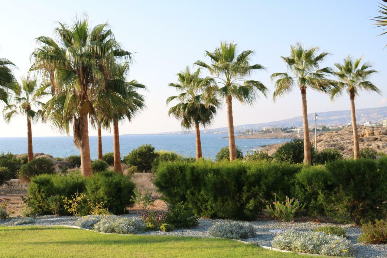 Yulya Villa By Taimoura Paphos Eksteriør bilde