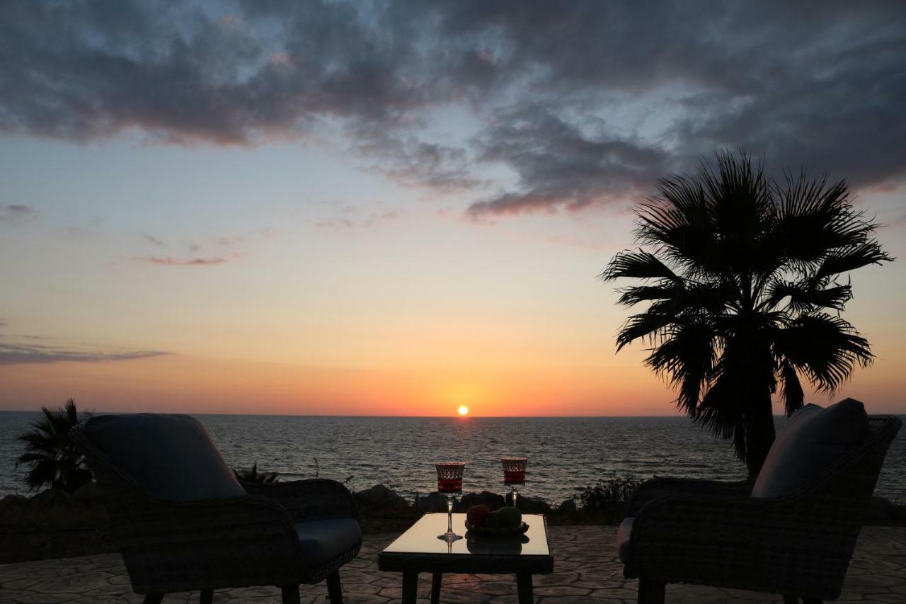 Yulya Villa By Taimoura Paphos Eksteriør bilde
